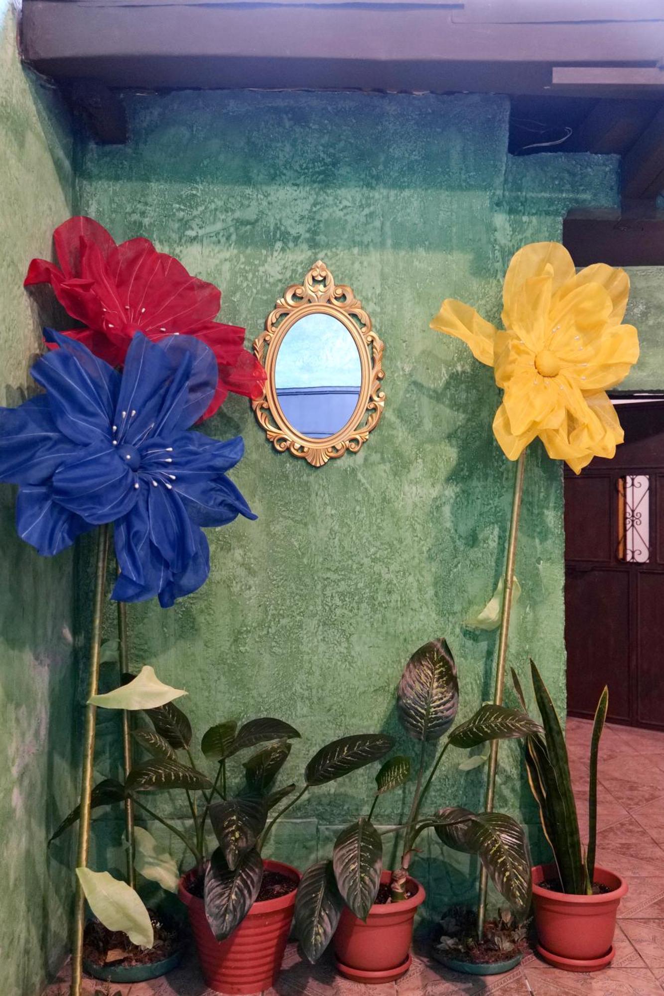 Wonderland Hostel Antigua Ngoại thất bức ảnh