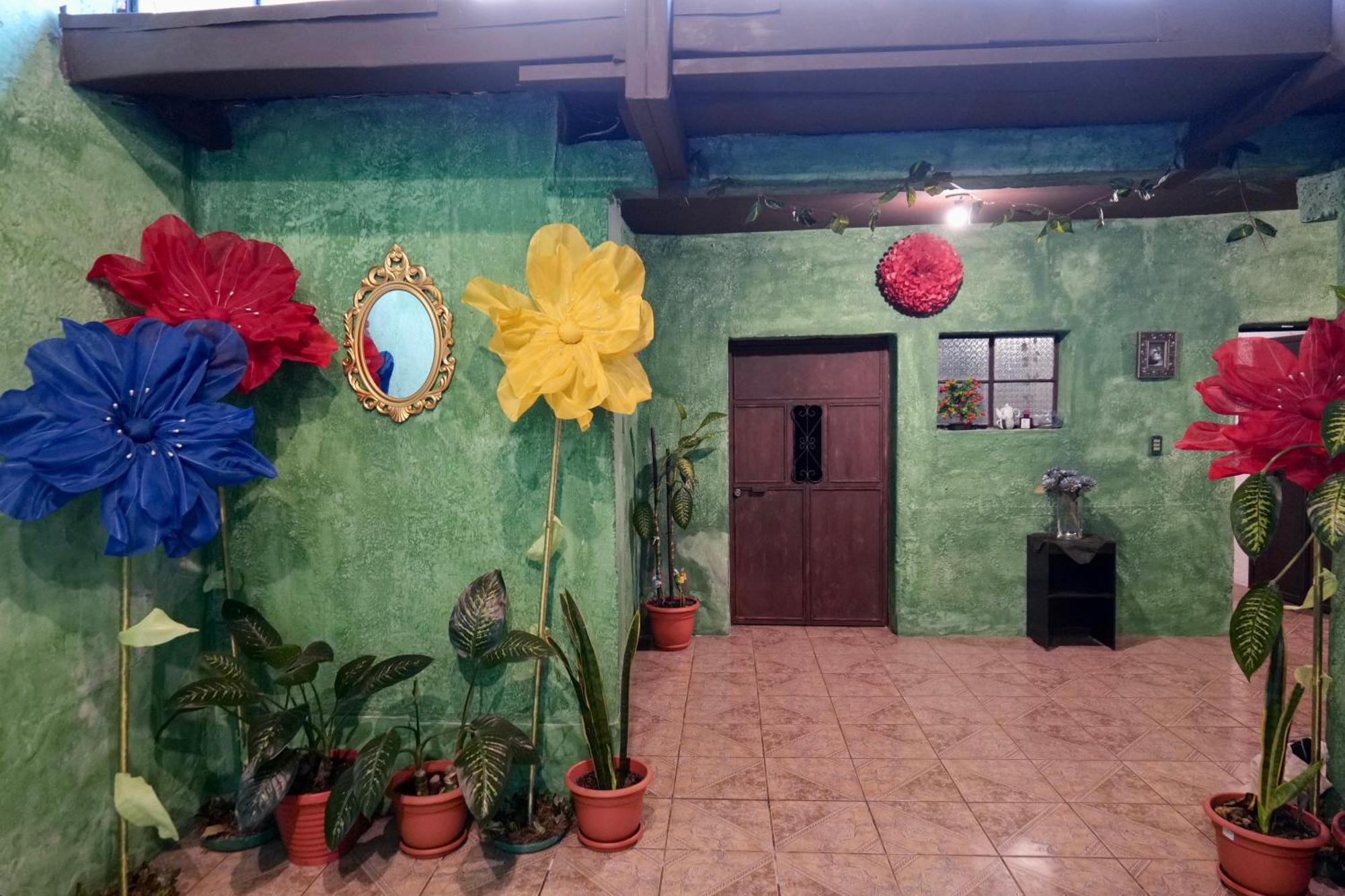Wonderland Hostel Antigua Ngoại thất bức ảnh