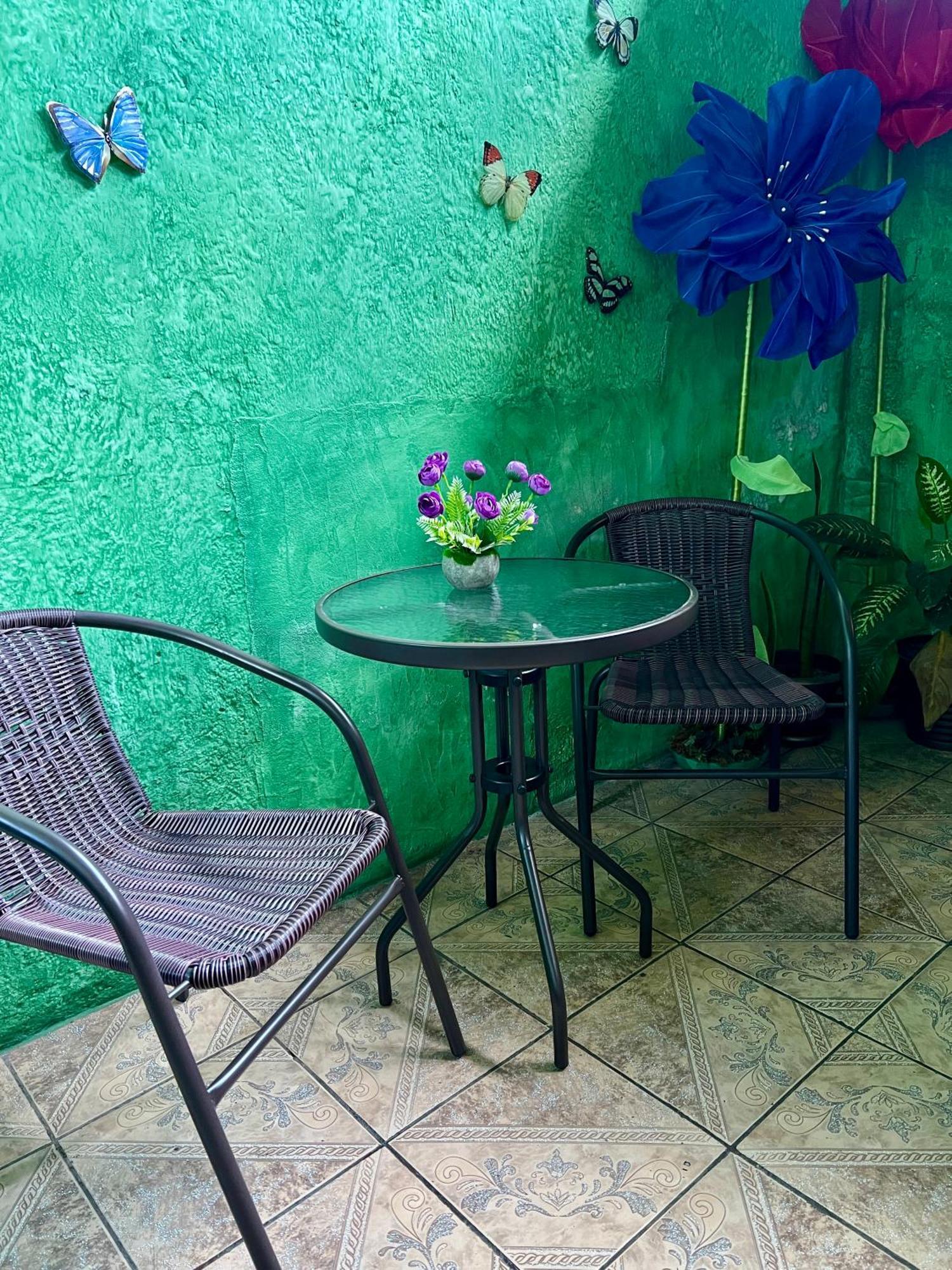 Wonderland Hostel Antigua Ngoại thất bức ảnh